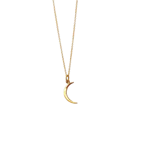 Mini Crescent Moon Necklace
